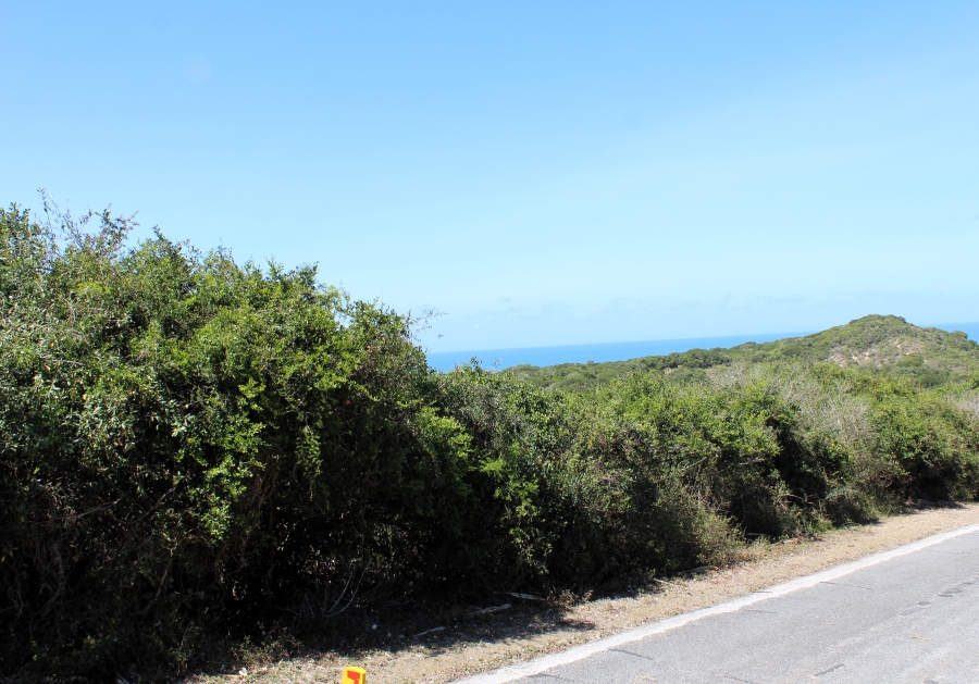 0 Bedroom Property for Sale in Begha Eastern Cape